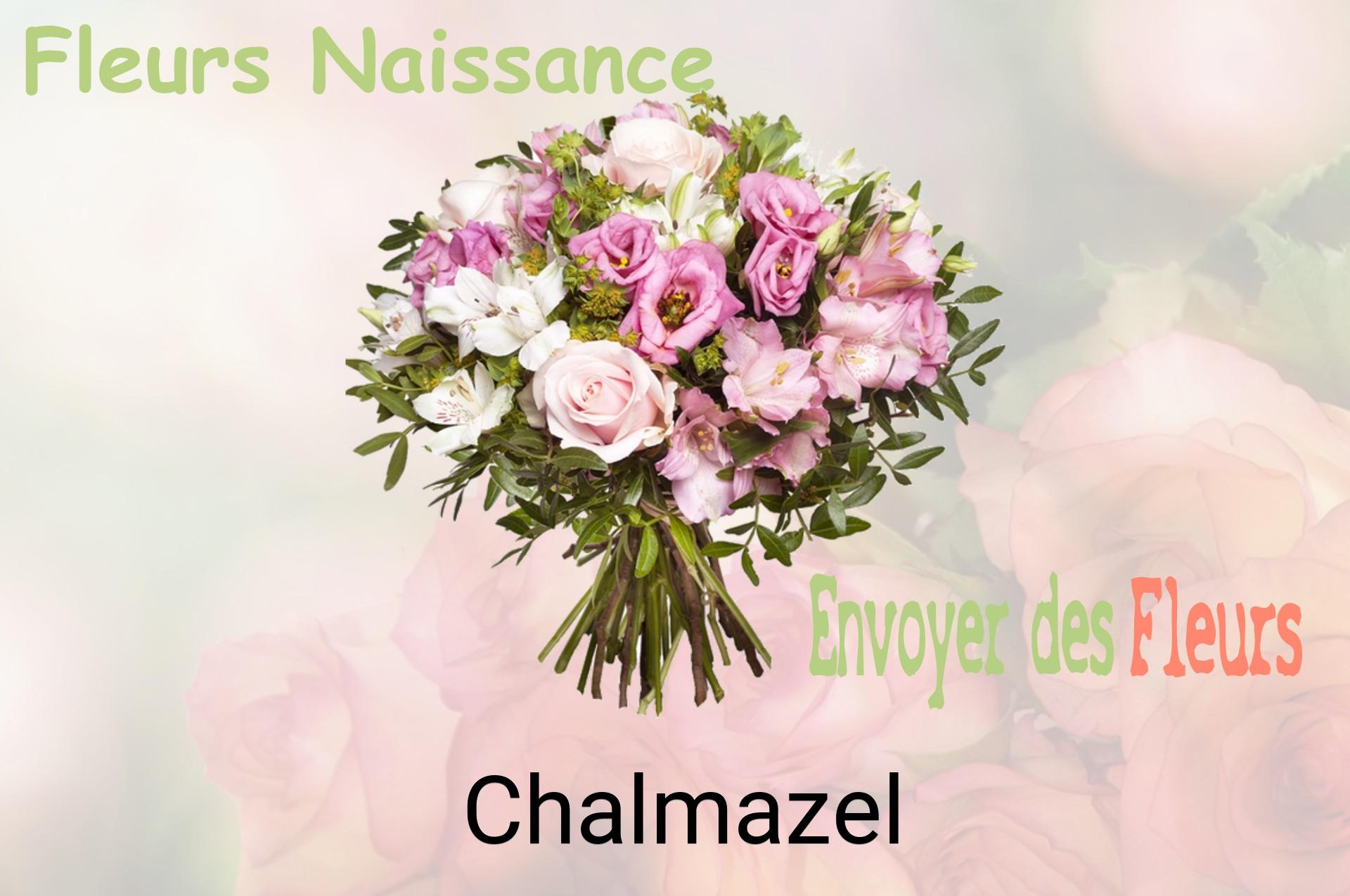 Bouquet de fleurs de naissance livré à Chalmazel